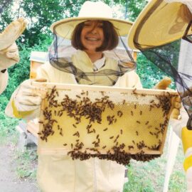 Exkursion in den Bienengarten